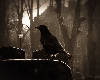 “Be that word our sign of parting, bird or fiend!” I shrieked, upstarting — “Get thee back into the tempest and the Night’s Plutonian shore! thumbnail