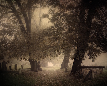 “The cemetery is an open space among the ruins, covered in winter with violets and daisies. It might make one in love with death, to think that one should be buried in so sweet a place.” thumbnail