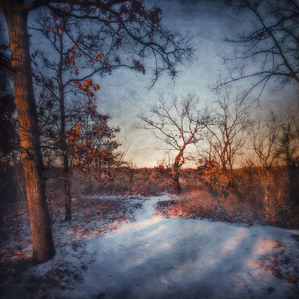 Sunset on Mount Misery, Manetto Hills, Melville, Long Island, New York
