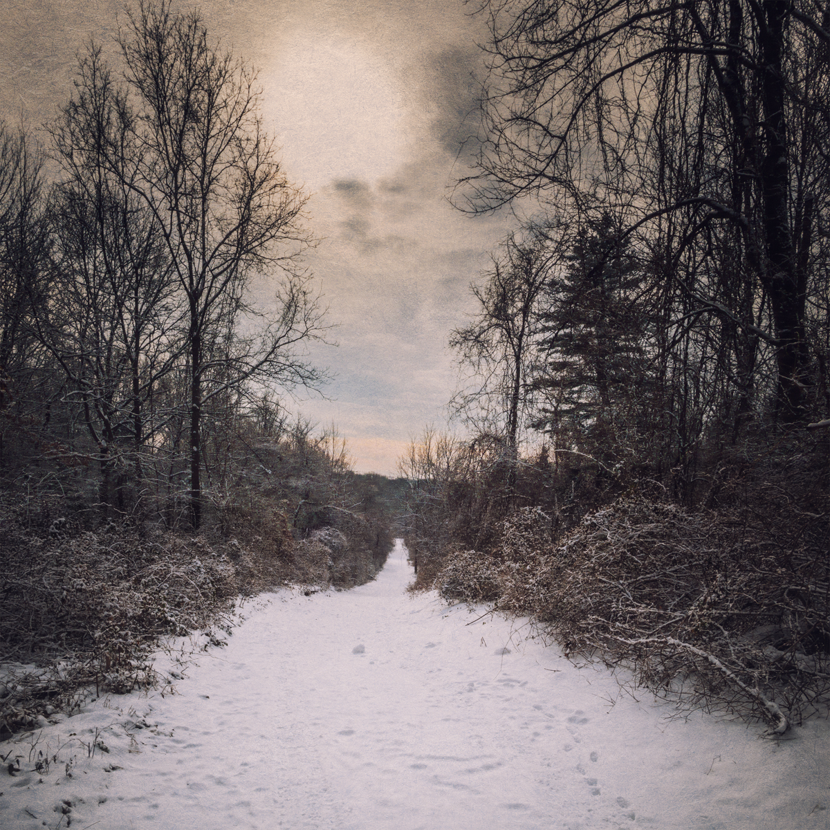 Toward the Mountain, West Hills County Park, Melville, Long Island New York