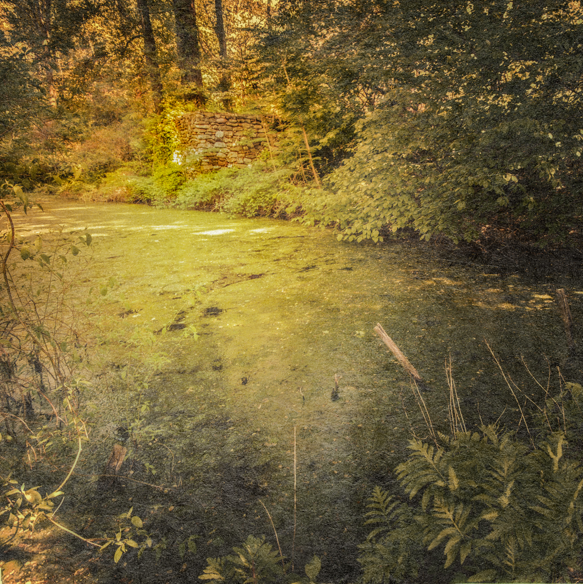 The ice pond and ice house.
