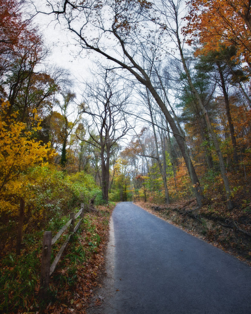 Sweet Hollow Road, Melville, Long Island, New York