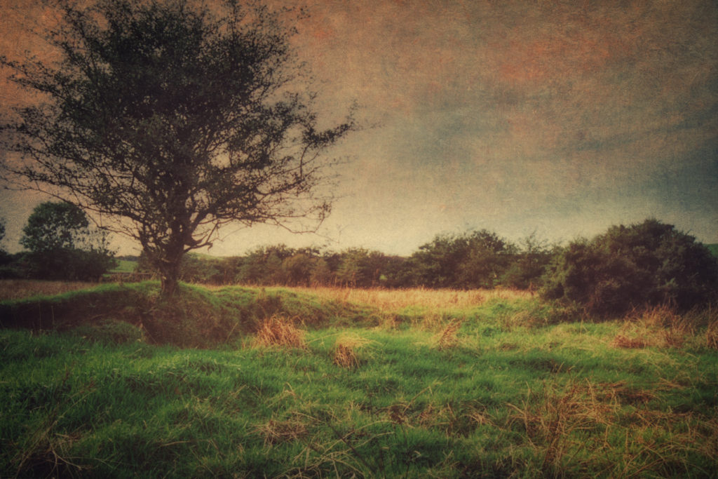 Fairy Ring, Tullyhorkey, County Donegal, Ireland
