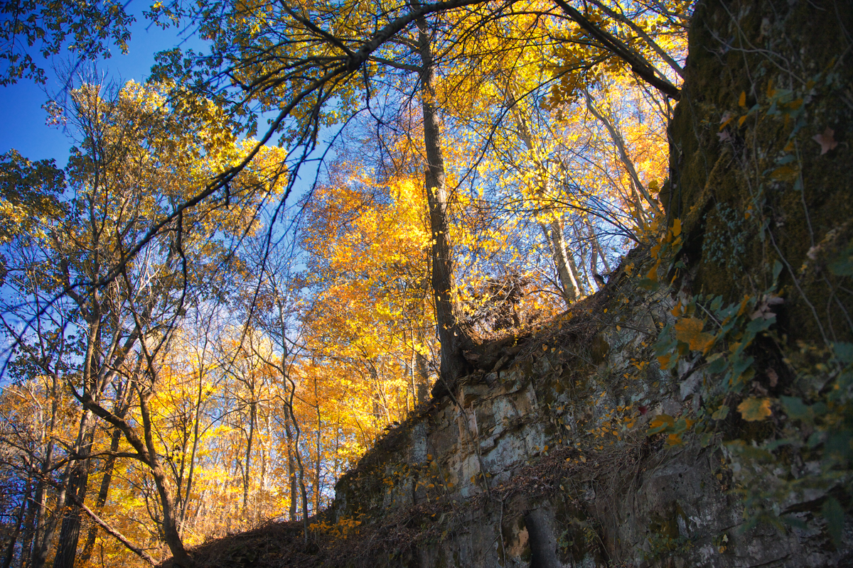 Bluffs Above Bell Witch Cave and Cabin, Adams, Robertson, Tennessee