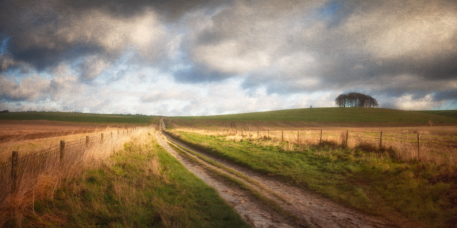 The old track from Marlborough to Bath, near Avebury