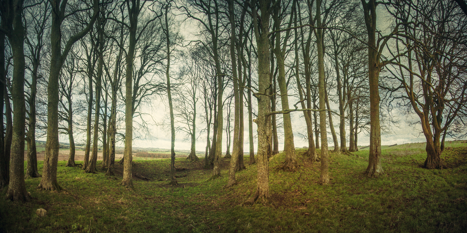 Among the barrows on top of Overton Hill