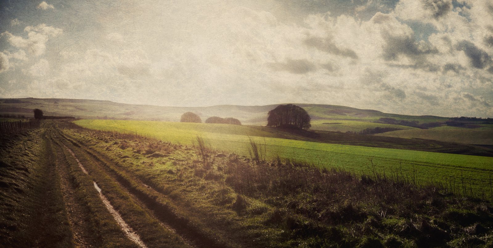 Along the Ridgeway