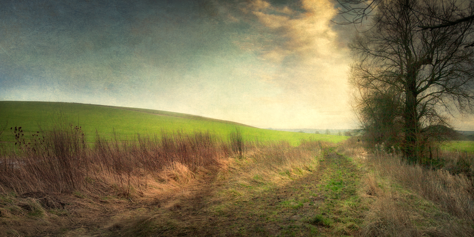 Baden Hill and the River Kennet near Avebury
