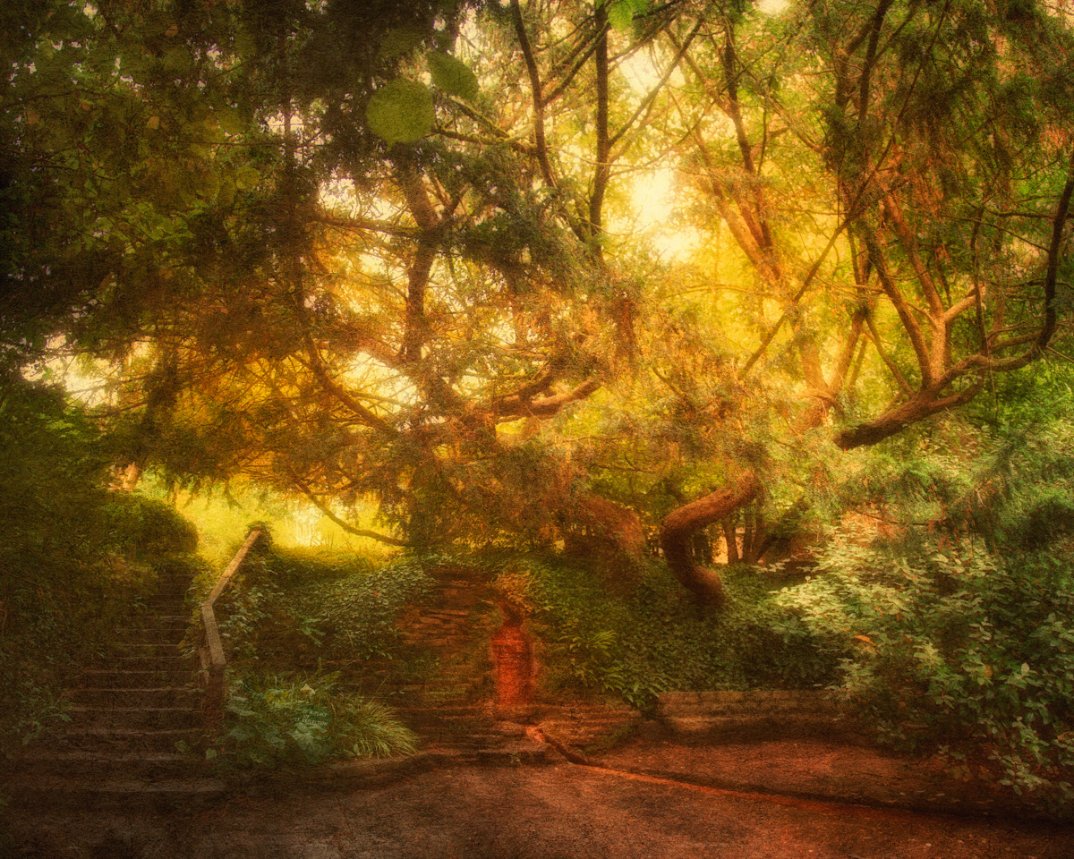 Red Spring Waterfall and Yew Tree in Arthur's Court
