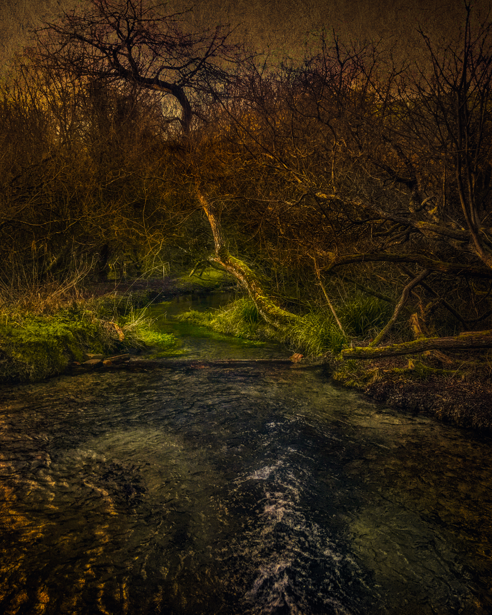 Luccombe Spring near Bratton