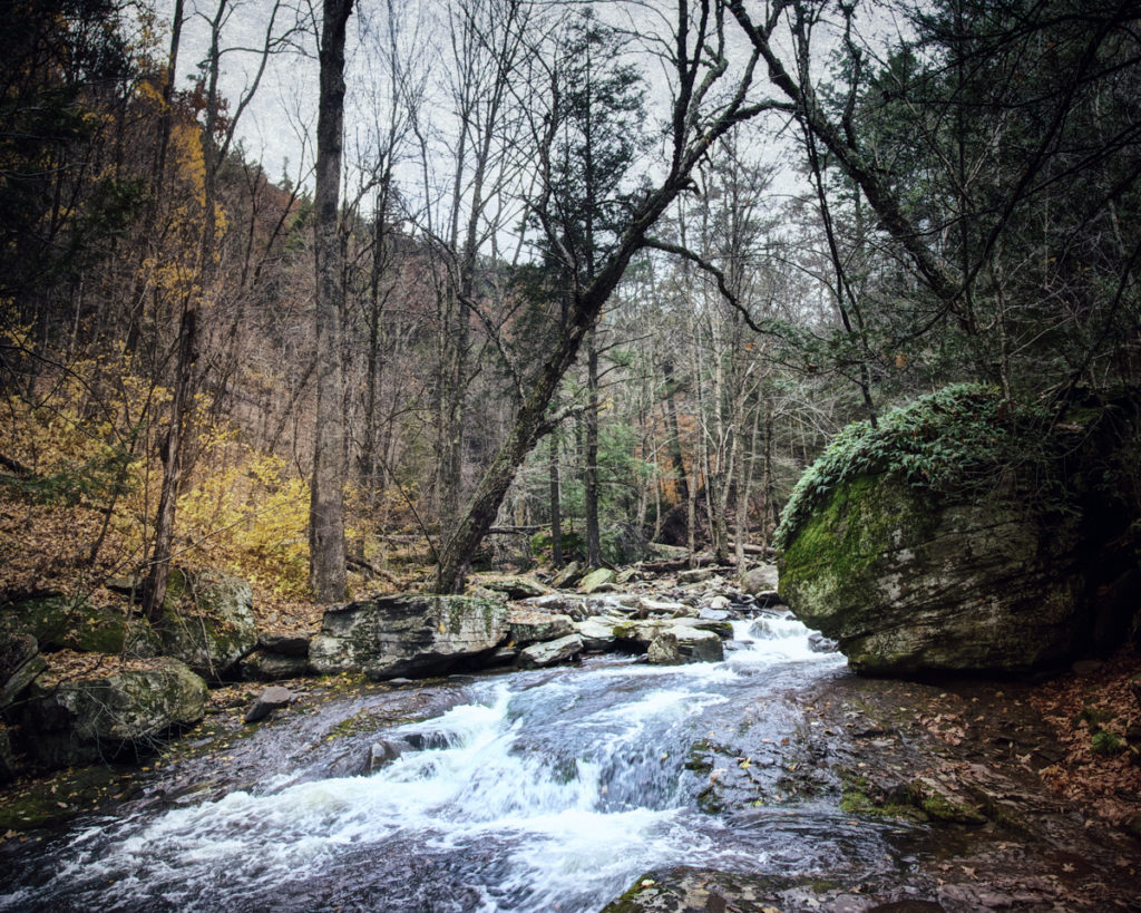 A Catskill stream from Haunted Travels in the Hudson River Valley of Washington Irving