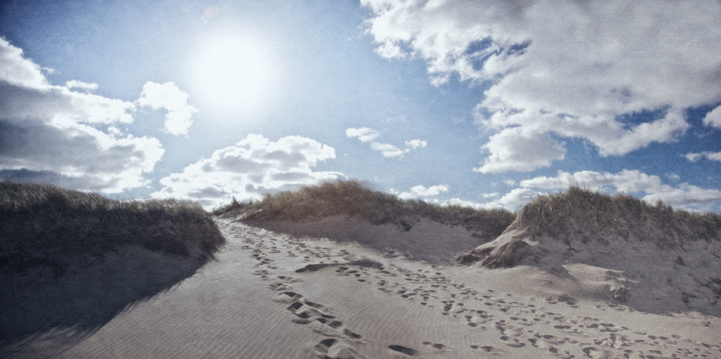 The Black Flash of Provincetown was first reported by school children, who saw it leaping out from the dunes along the seaside.