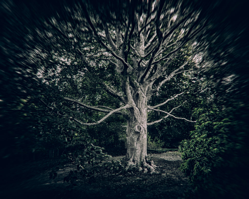 Quite often in the colonial era, marginalized people took to living in the forest, which led to stories and accusations of witchcraft.