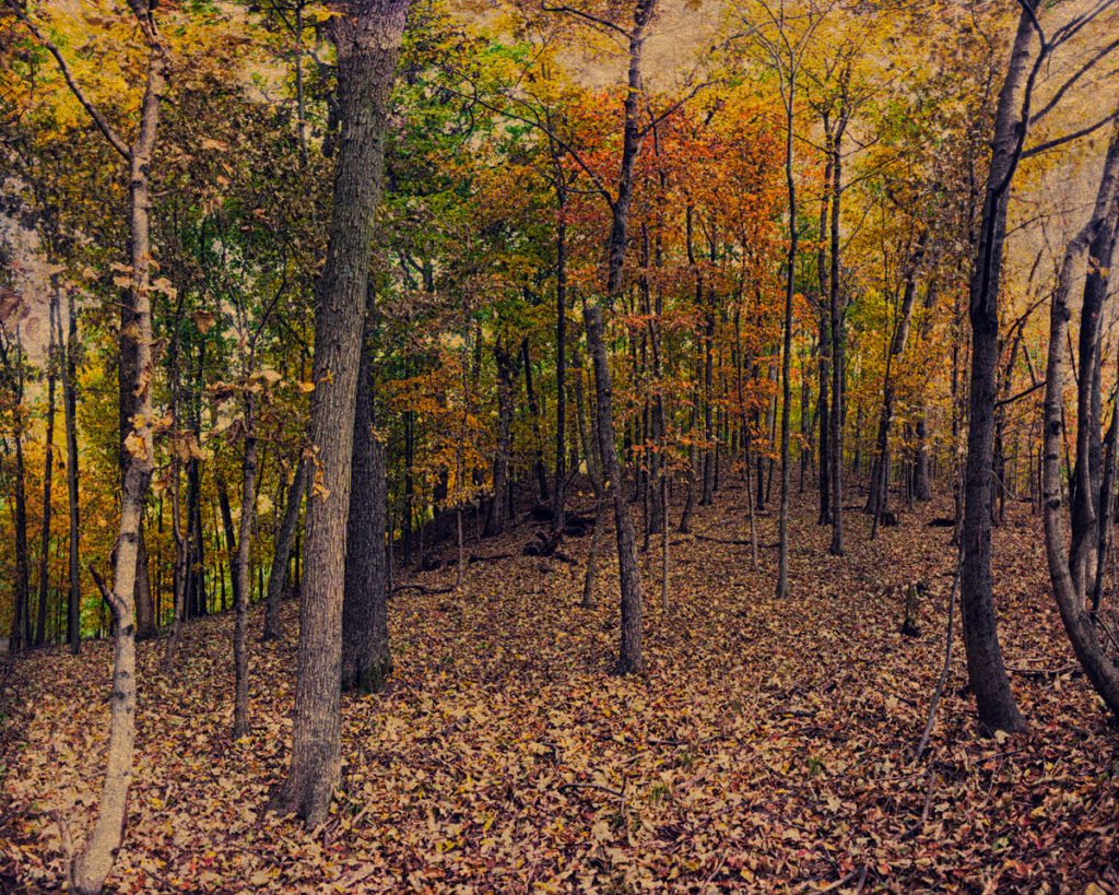Atop Rattlesnake Bluff, once the home to Big Jim