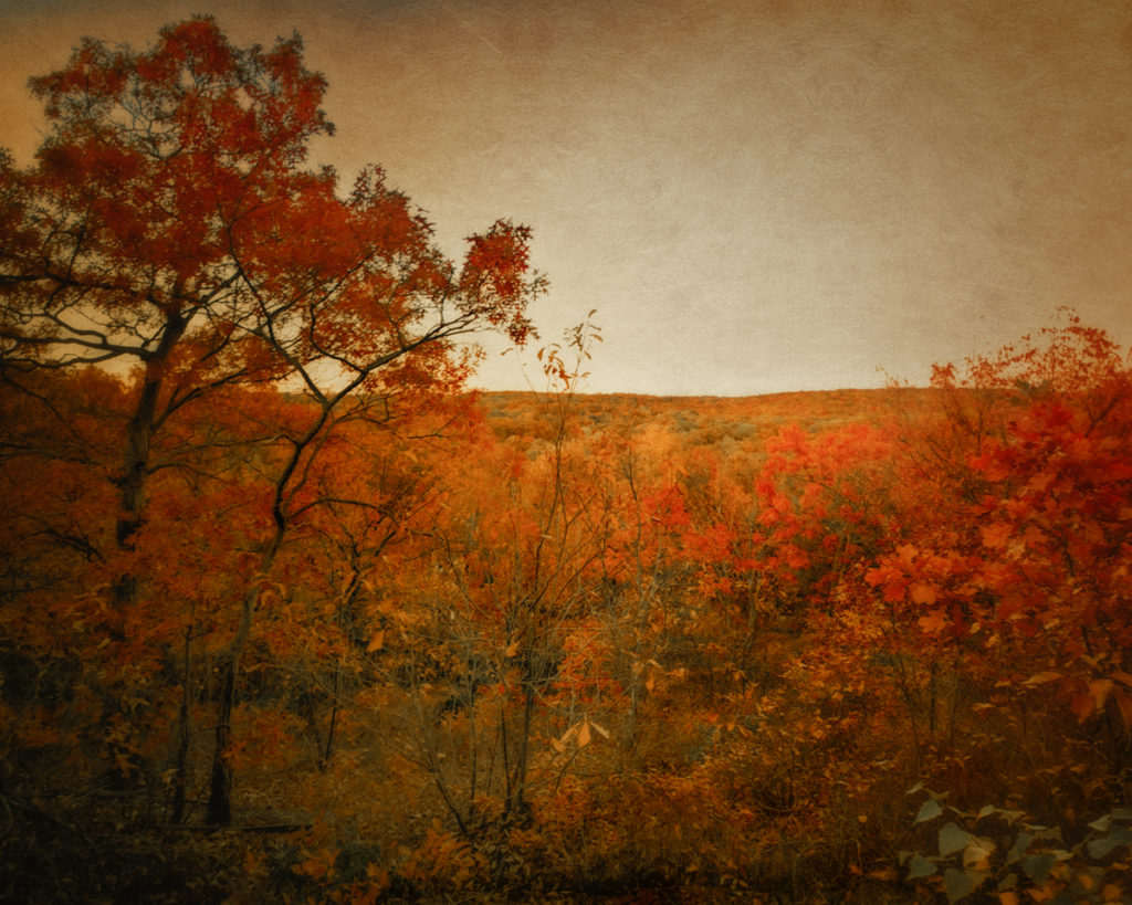 Autumn in Mannetto Hills, overlooking West Hills