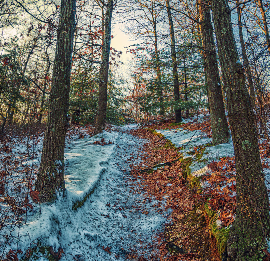 Mount Misery in Snow