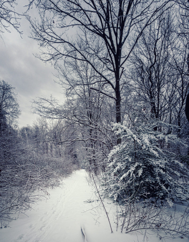 Towards Gwynne Road, once Mt. Misery Road